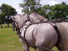Cai Beclean 2009 064