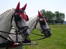 Cai Beclean 2009 069