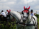Cai Beclean 2009 070