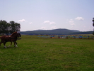 Cai Beclean 2009 071