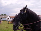 Cai Beclean 2009 073