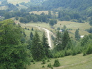 DSC07317