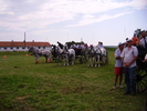 Cai Beclean 2009 076