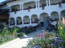 DSC06390