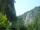 DSC06528