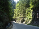 DSC06531