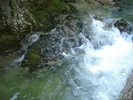 DSC06532