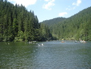 DSC06546