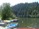 DSC06547