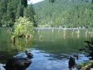 DSC06557