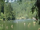 DSC06560