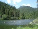 DSC06563
