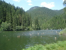 DSC06566