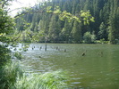 DSC06568
