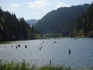 DSC06574