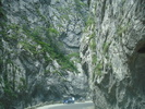 DSC06600