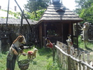 DSC06830
