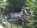 DSC06839