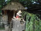 DSC06842