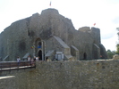 DSC06881