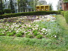 DSC01707
