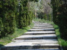 DSC08200
