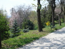 DSC08191