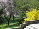 DSC08195