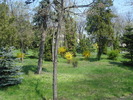 DSC08197