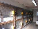 Custile lui Holl Norbert