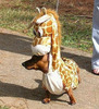 giraffe_dog