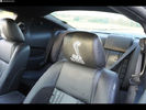 ford_2010-Shelby-GT500-Super-Snake-001_2[1]