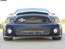 ford_2010-Shelby-GT500-Super-Snake-002_2[1]