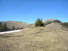 Picture 117