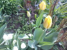 DSC01815