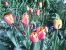 DSC01824