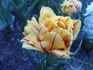 DSC01850