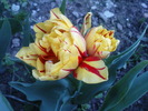 DSC01857