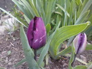 DSC01863