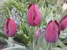 DSC01938
