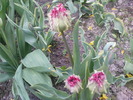 DSC01949