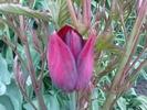 DSC01989