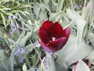 DSC02051