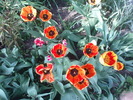 DSC02072