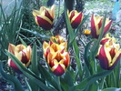 DSC02077