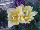 DSC02082
