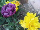 DSC02090