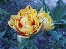 DSC02091