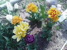 DSC02098