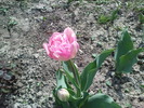 DSC02113